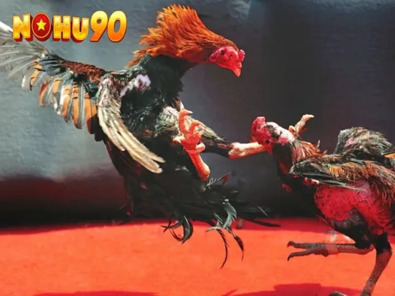 da-ga-nohu90